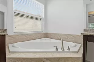 30588 Chesapeake Bay Dr, Wesley Chapel, FL 33543 - Photo 30