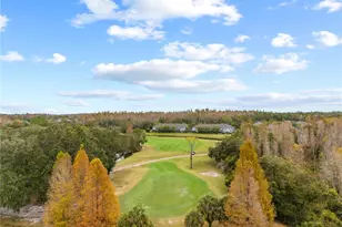 18103 Paradise Point Dr, Tampa, FL 33647 - Photo 32