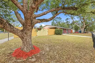 9402 N Newport Ave, Tampa, FL 33612 - Photo 48
