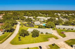 3430 Stonehaven Ct E, Palm Harbor, FL 34684 - Photo 50