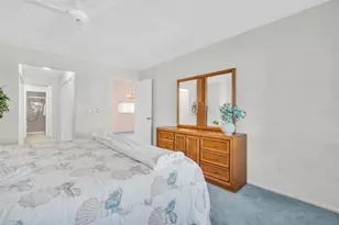 3251 McMath Dr, Palm Harbor, FL 34684 - Photo 12