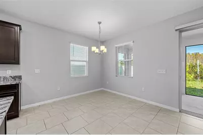 8635 Bower Bass Circle, Wesley Chapel, FL 33545 - Photo 32