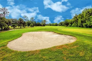 209 Cypress Ct, Oldsmar, FL 34677 - Photo 38