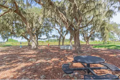 31088 Jazz Leaf Place, San Antonio, FL 33576 - Photo 68