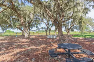 31088 Jazz Leaf Pl, San Antonio, FL 33576 - Photo 68