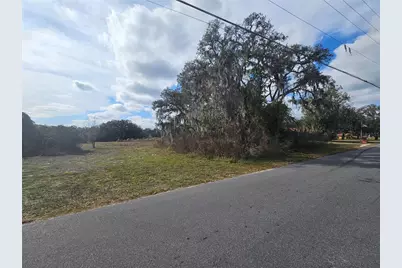 34794 Orchid Parkway, Ridge Manor, FL 33523 - Photo 1