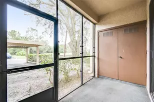 101 Lindsay Ln, Oldsmar, FL 34677 - Photo 18