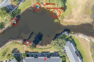 13720 Orange Sunset Dr, Tampa, FL 33618 - Photo 54