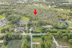 3510 Moores Lake Rd, Dover, FL 33527 - Photo 8