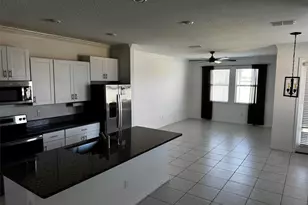 31779 Blue Passing Loop, Wesley Chapel, FL 33545 - Photo 12