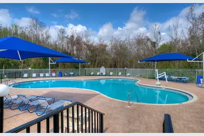 29233 Birds Eye Drive, Wesley Chapel, FL 33543 - Photo 30