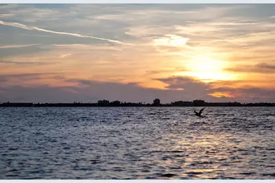 4737 Dolphin Cay Lane S #207, Saint Petersburg, FL 33711 - Photo 60