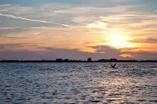 4737 Dolphin Cay Ln S, Saint Petersburg, FL 33711 - Photo 60