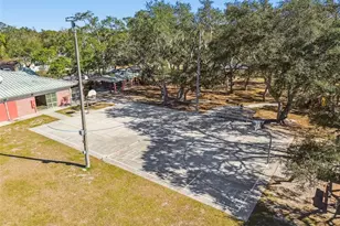 12902 N Howard Ave, Tampa, FL 33612 - Photo 44