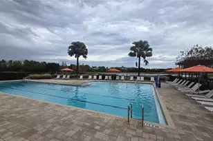 5424 Summer Sunset Dr, Apollo Beach, FL 33572 - Photo 56