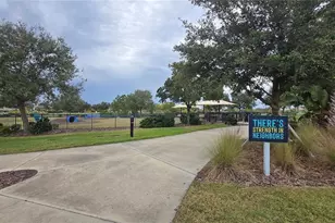 5424 Summer Sunset Dr, Apollo Beach, FL 33572 - Photo 52
