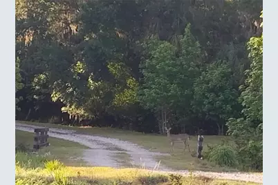 15311 Fishhawk Heights Run, Lithia, FL 33547 - Photo 6