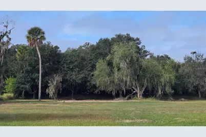 15311 Fishhawk Heights Run, Lithia, FL 33547 - Photo 2