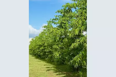 4277 Mineral Branch Road, Zolfo Springs, FL 33890 - Photo 16