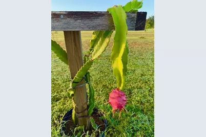 4277 Mineral Branch Road, Zolfo Springs, FL 33890 - Photo 18