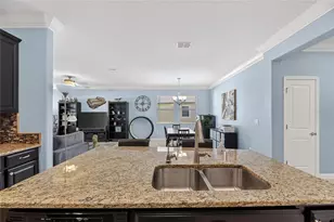 11924 Frost Aster Dr, Riverview, FL 33579 - Photo 20