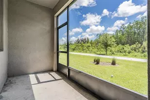 8082 Rolling Shell Trail, Wesley Chapel, FL 33545 - Photo 32