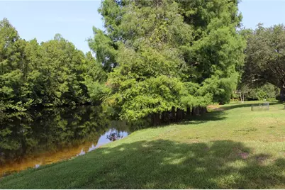 3678 Pendlebury Drive, Palm Harbor, FL 34685 - Photo 8