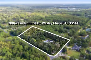 28042 Lindenhurst Dr, Wesley Chapel, FL 33544 - Photo 58
