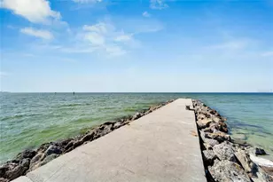 6317 Marbella Blvd, Apollo Beach, FL 33572 - Photo 88