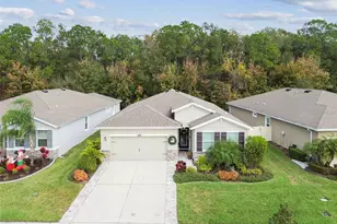 32813 Sand Creek Dr, Wesley Chapel, FL 33543 - Photo 50