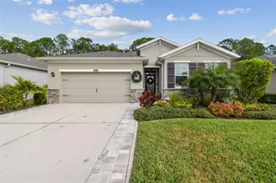 32813 Sand Creek Dr, Wesley Chapel, FL 33543 - Photo 1