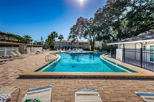841 Patricia Ave, Dunedin, FL 34698 - Photo 50