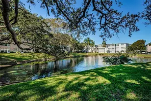 841 Patricia Ave, Dunedin, FL 34698 - Photo 72