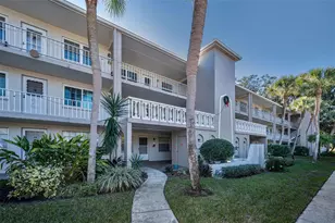 841 Patricia Ave, Dunedin, FL 34698 - Photo 6
