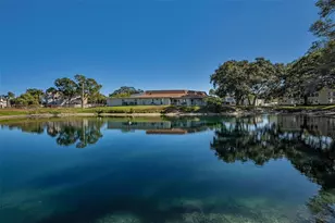 841 Patricia Ave, Dunedin, FL 34698 - Photo 46