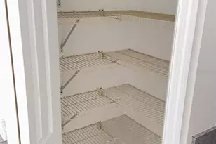 8517 Fawn Creek Dr, Tampa, FL 33626 - Photo 12