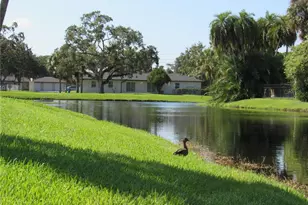 3001 58th Ave S, Saint Petersburg, FL 33712 - Photo 60