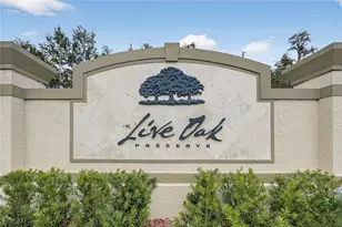 20041 Satin Leaf Ave, Tampa, FL 33647 - Photo 28