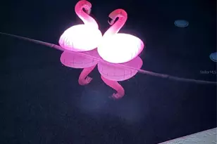 87 Oakwood Dr, Dunedin, FL 34698 - Photo 62