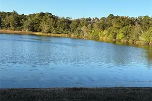 11222 Clayridge Dr, Tampa, FL 33635 - Photo 36