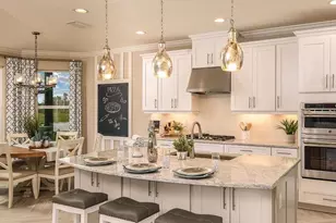 5129 Slate Hue Pl, Apollo Beach, FL 33572 - Photo 10