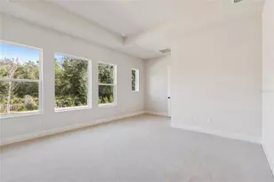 31479 Hayman Loop, Wesley Chapel, FL 33545 - Photo 16