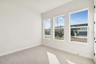 31479 Hayman Loop, Wesley Chapel, FL 33545 - Photo 24