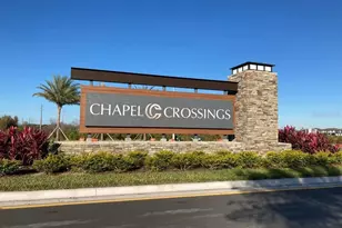 31479 Hayman Loop, Wesley Chapel, FL 33545 - Photo 42