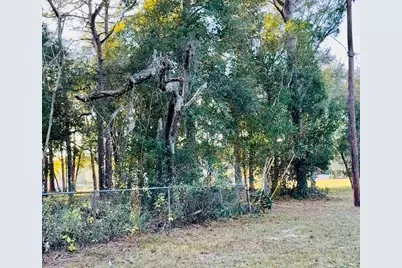 16280 Palacky Street, Brooksville, FL 34604 - Photo 4