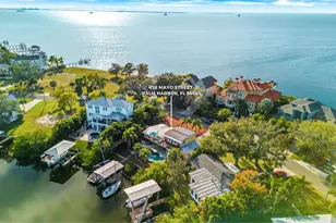 628 Mayo St, Palm Harbor, FL 34683 - Photo 68