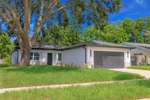 2376 Citrus Hill Rd, Palm Harbor, FL 34683 - Photo 2