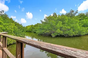 502 Bough Ave, Clearwater, FL 33760 - Photo 34