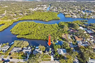 1992 Arvis Cir E, Clearwater, FL 33764 - Photo 4