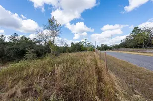 13120 Taylor St, Brooksville, FL 34613 - Photo 28